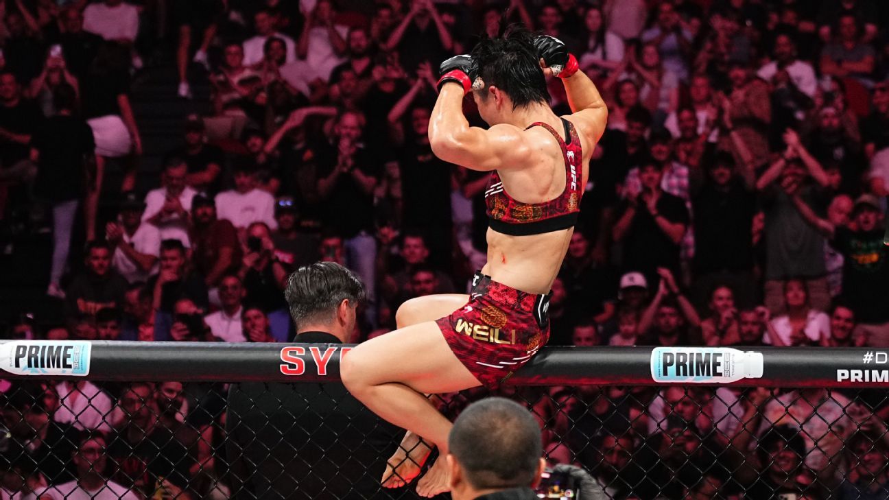 这种高昂的 这种高昂的