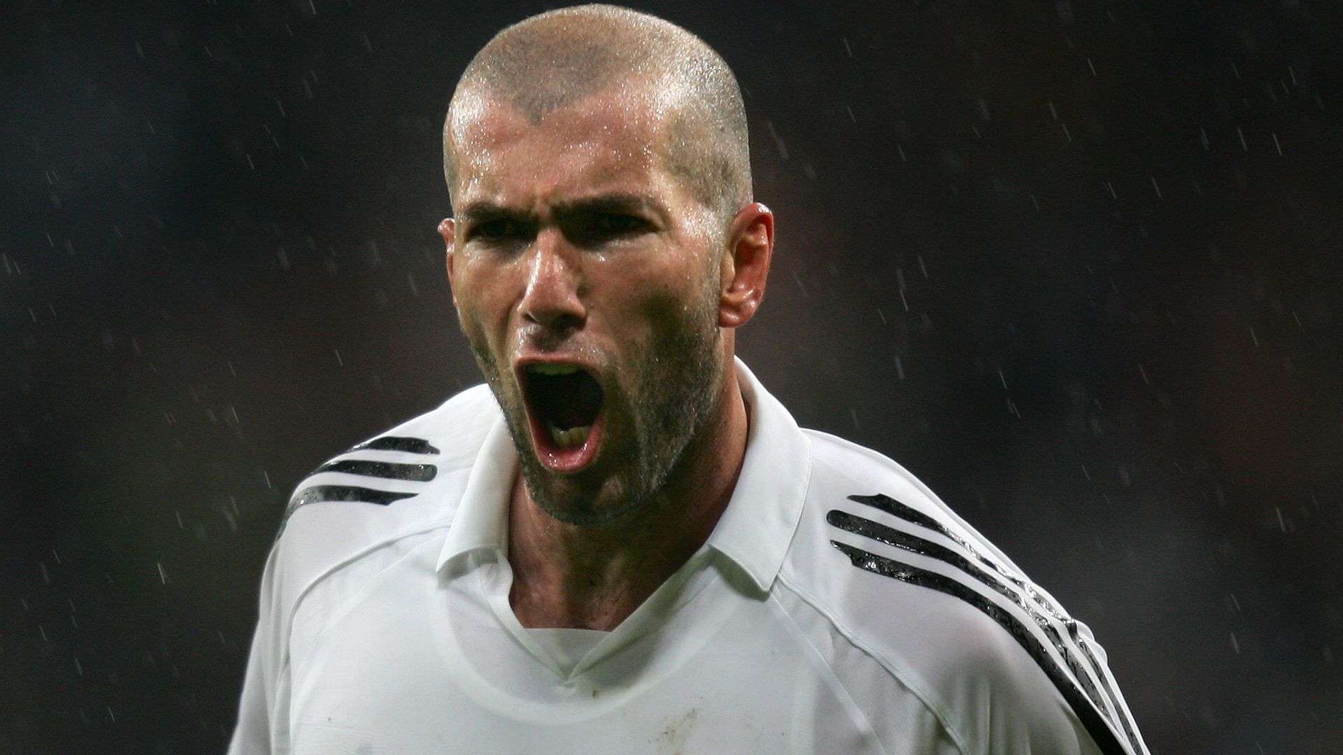 而厄瓜多尔 而厄瓜多尔